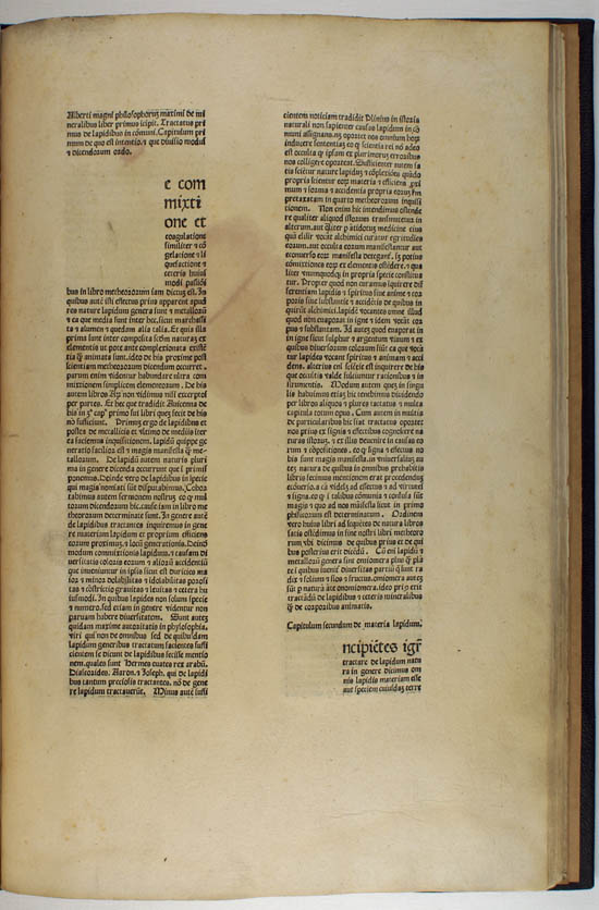 Albertus Magnus (1476)