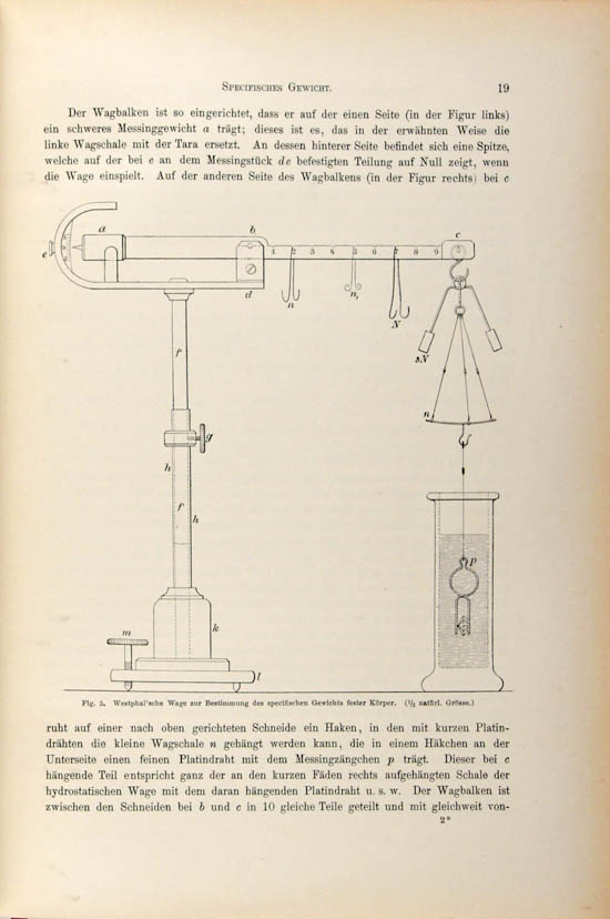 Bauer, Max Hermann (1896)