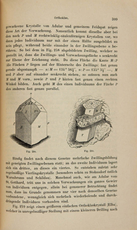 Baumhauer, Heinrich Adolf (1889)