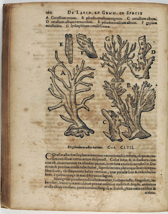 Boodt (also: Boot), Anselmus Boëtius de (1609)