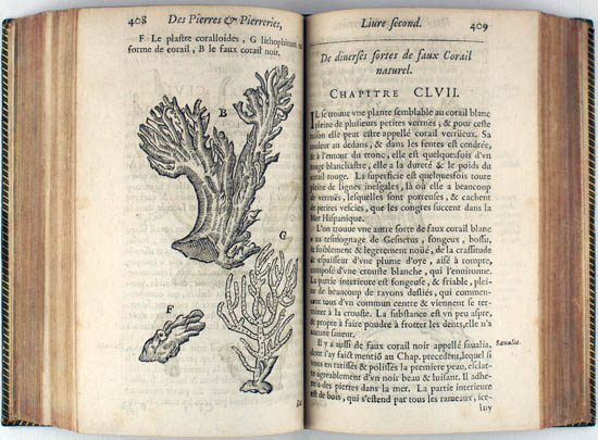 Boodt (also: Boot), Anselmus Boëtius de (1644)