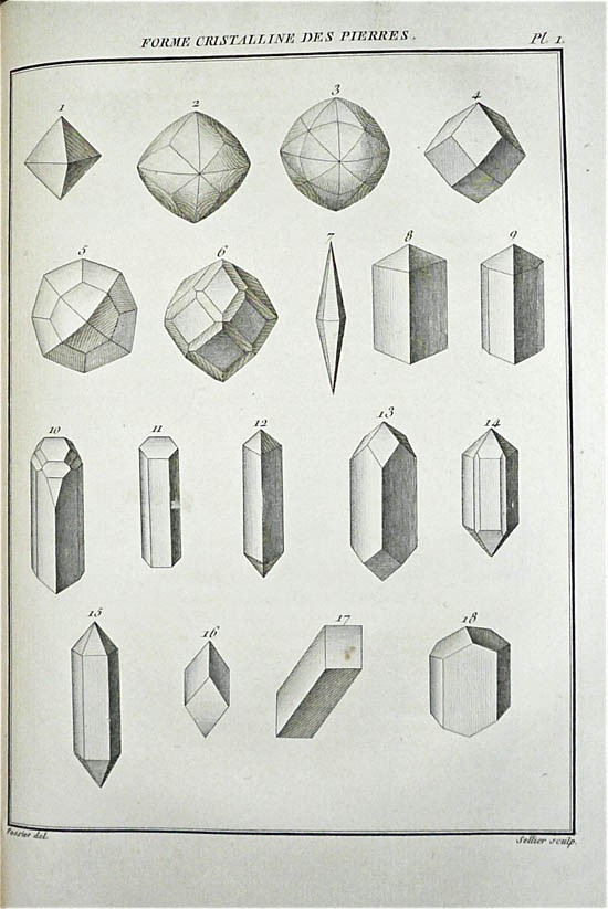 Brisson, Mathurin Jacques (1787)