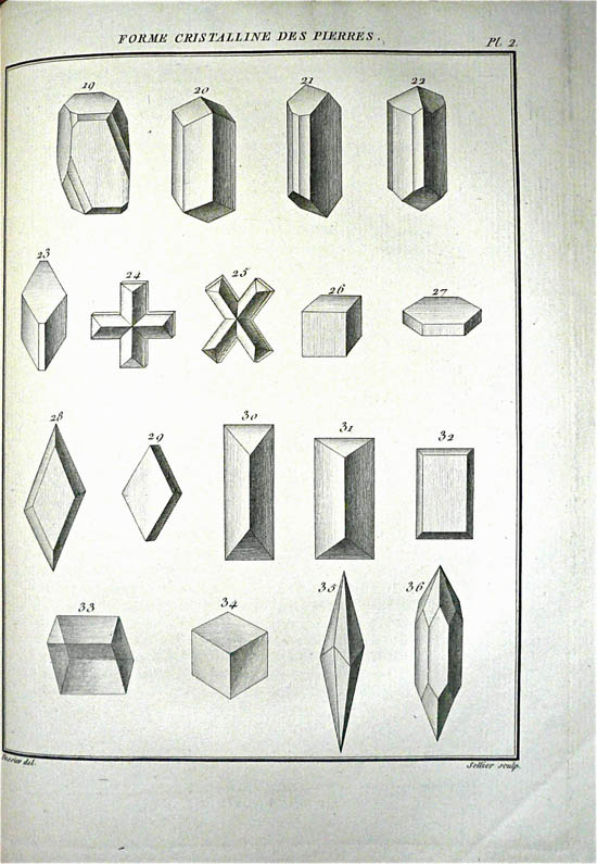 Brisson, Mathurin Jacques (1787)