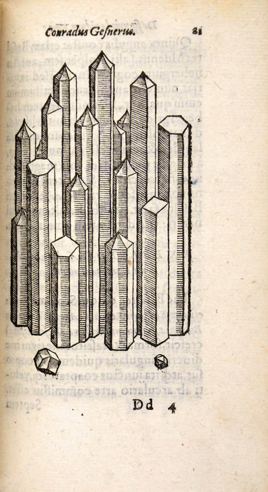Gesner, Conrad (1565)
