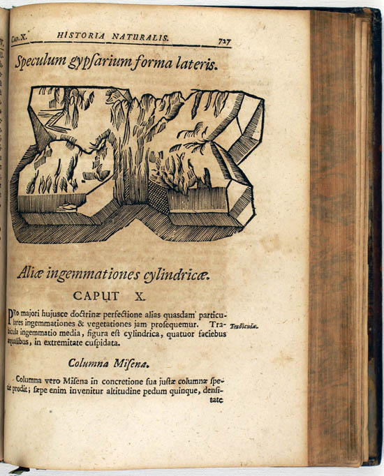 Imperato, Ferrante (1695)