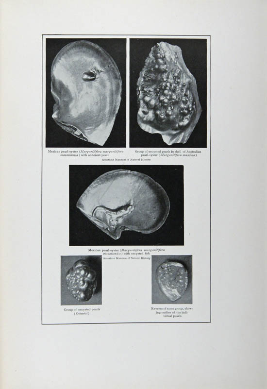 Kunz, George Frederick and Stevenson, Charles Hugh (1908)