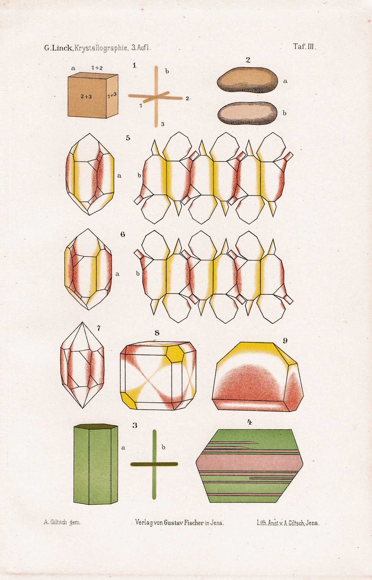 Linck, Gottlob Eduard (1913)