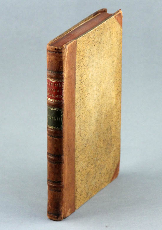 Linnaeus (Linné), Carl (1768)