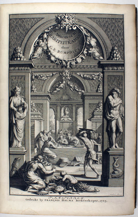 Rumphius (Rumpf), Georg Eberhard (1705)