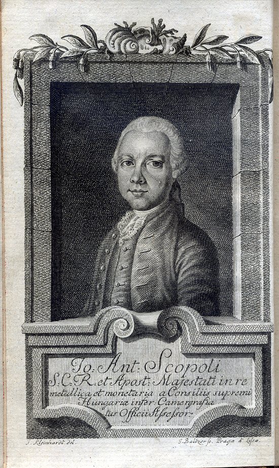 Scopoli, Giovanni Antonio (1772)