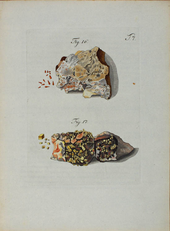 Wulfen, Franz Xavier (1791)