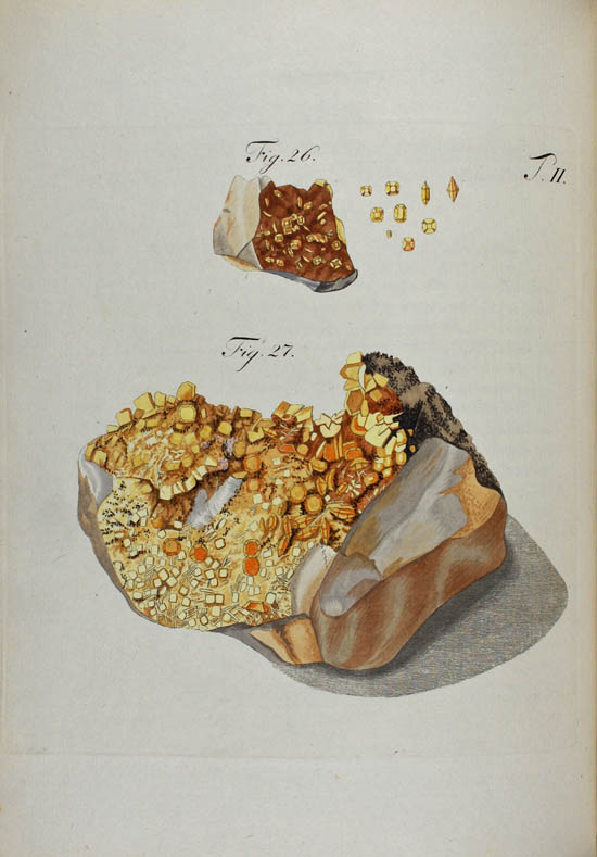 Wulfen, Franz Xavier (1791)